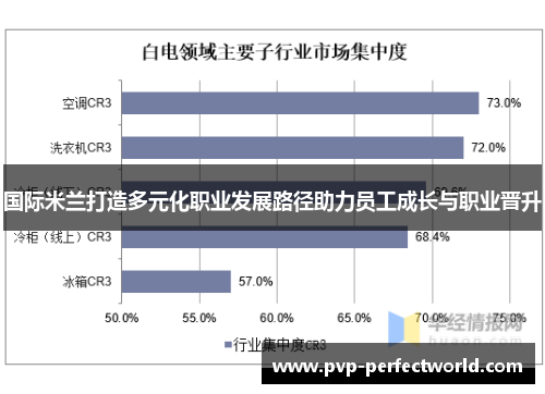 国际米兰打造多元化职业发展路径助力员工成长与职业晋升