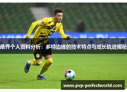 桑乔个人资料分析：多特边锋的技术特点与成长轨迹揭秘