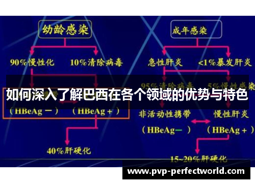 如何深入了解巴西在各个领域的优势与特色